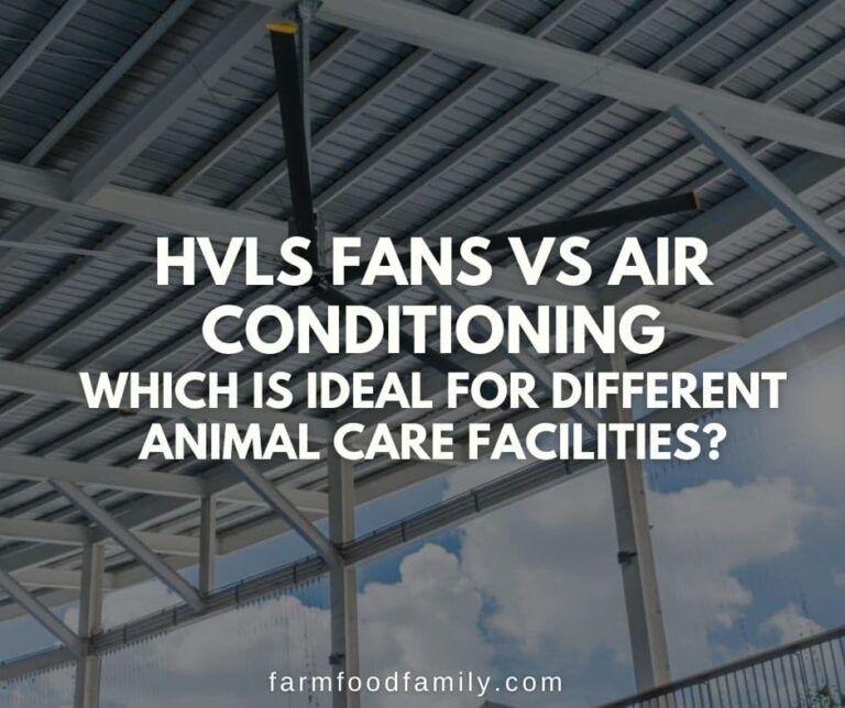 HVLS Fans vs Air Conditioning: Which is Ideal for Different Animal Care Facilities?
