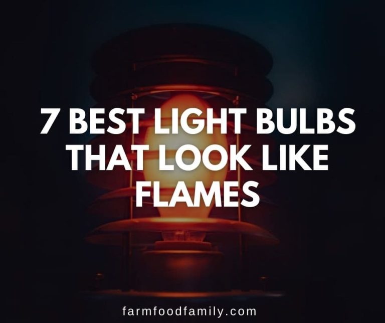 6 Best Light Bulbs That Look Like Flames for Indoors and Outdoors (2024)