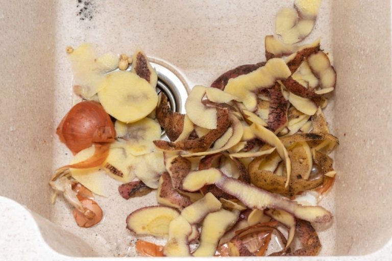 Can You Put Potato Peels Down the Garbage Disposal? {How to Unclog}