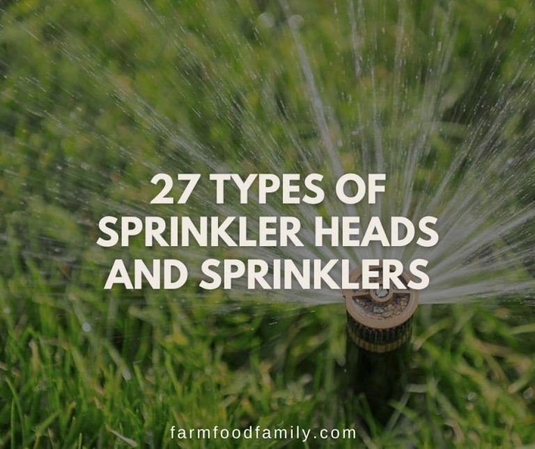 27 Types of Sprinkler Heads and Sprinklers Which One Is Right for You?