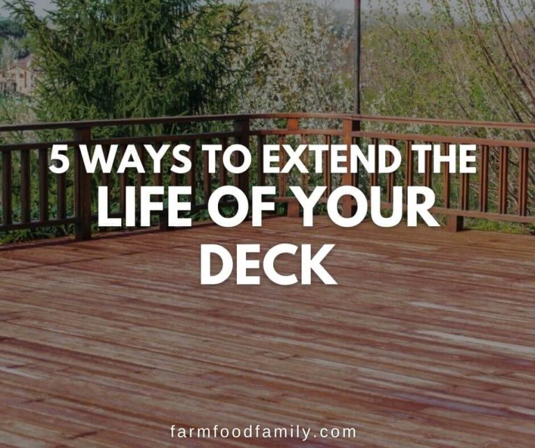 Deck Care 5 Ways to Extend the Life of Your Deck (Tips & Tricks)