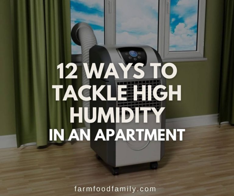 12 Ways to Tackle High Humidity in An Apartment FarmFoodFamily