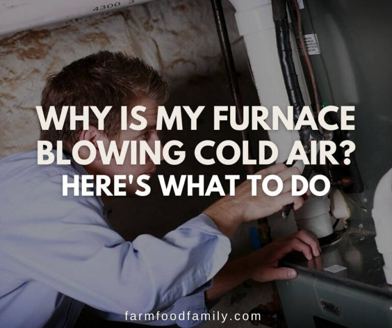 Why Is My Furnace Blowing Cold Air? Here’s What To Do