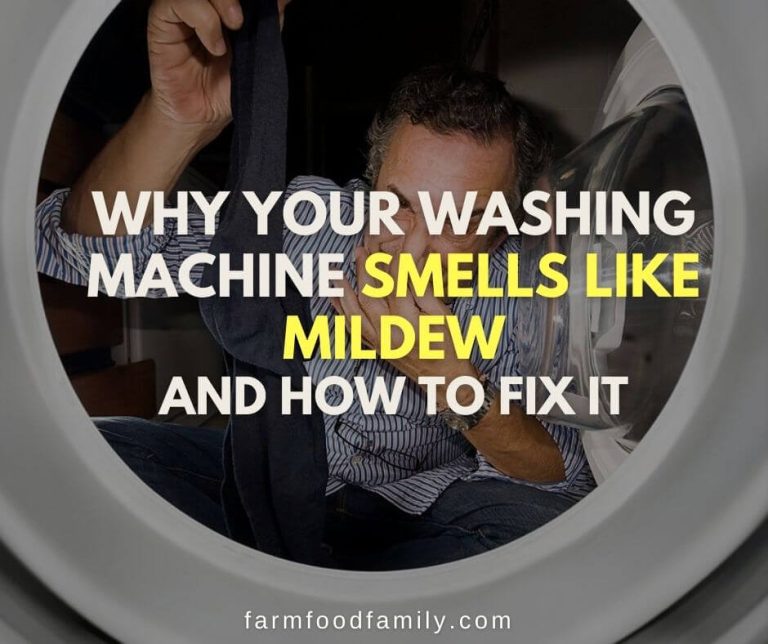 Why Your Washing Machine Smells Like Mildew and How to Fix It