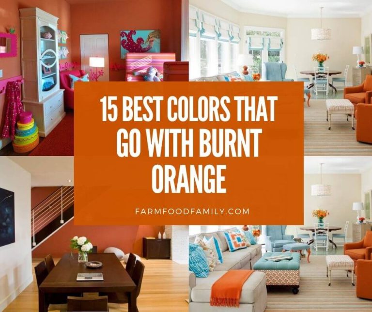What Colors Look Best With Burnt Orange for a Room? (15 Ideas)