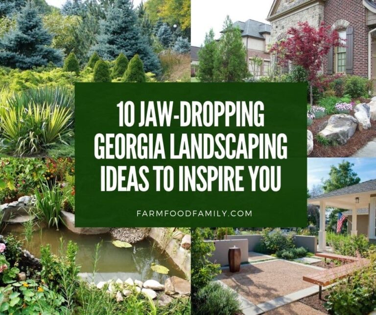 10 Jaw-Dropping Georgia Landscaping Ideas to Inspire You