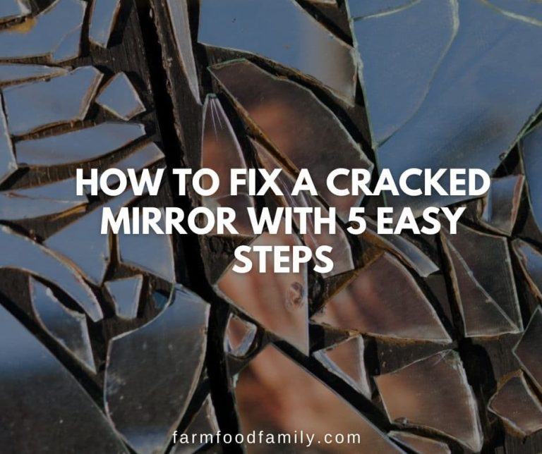 How To Fix A Cracked Mirror With 5 Easy Steps FarmFoodFamily