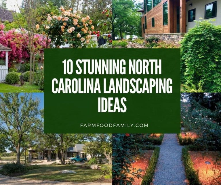 10 Stunning North Carolina Landscaping Ideas and Designs for Your Home