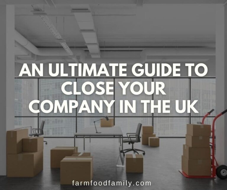 An Ultimate Guide To Close Your Company In The UK