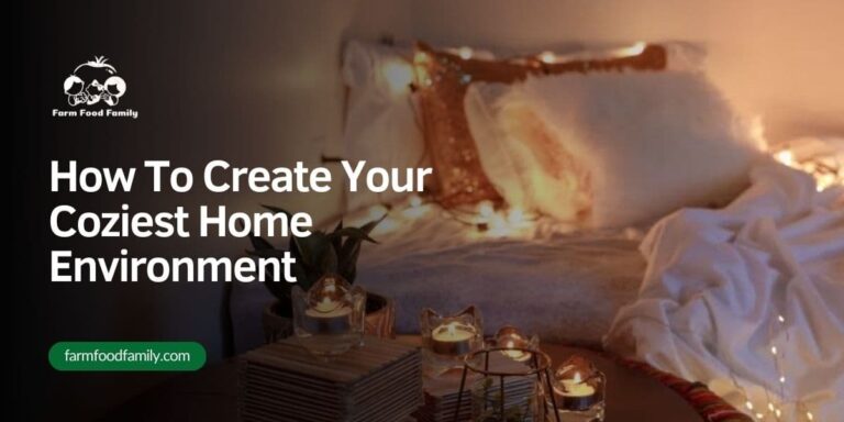 How To Create Your Coziest Home Environment