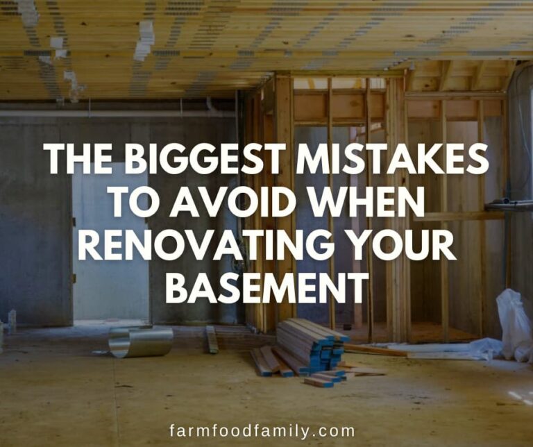 The Biggest Mistakes to Avoid When Renovating Your Basement