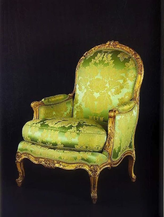 6 Different Types of Bergère Chairs Which One is Perfect for You?