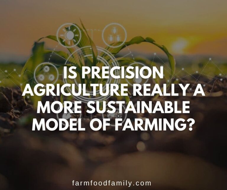 Is Precision Agriculture Really a More Sustainable Model of Farming?