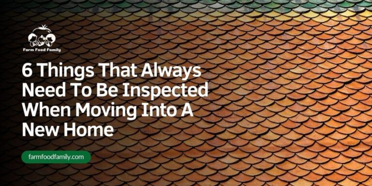 6 Things That Always Need To Be Inspected When Moving Into A New Home