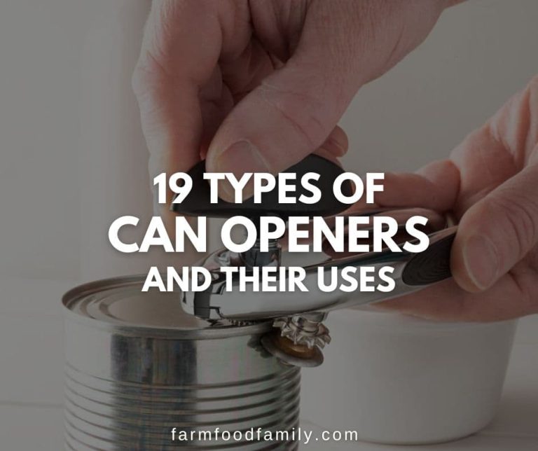 19 Types of Can Openers (and How to Choose the Right One for You)