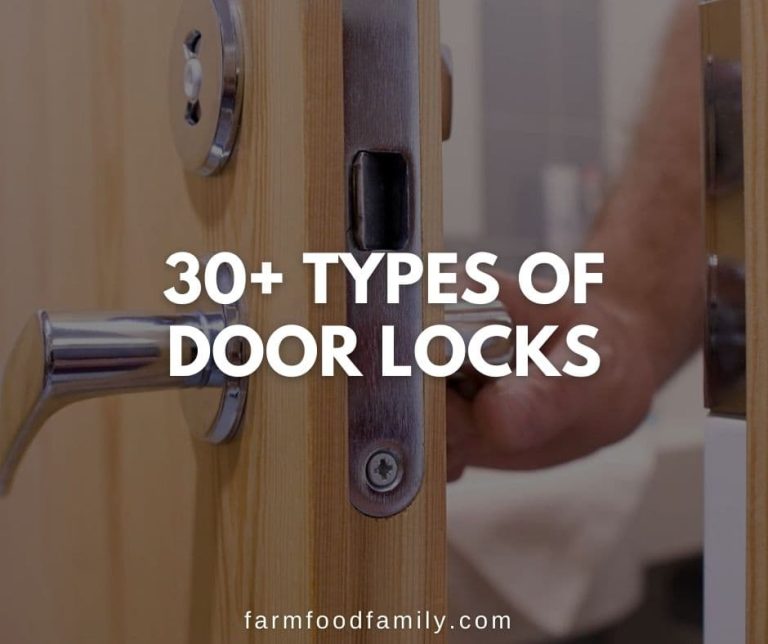 30+ Different Types of Door Locks and Handles (and How to Pick Them)