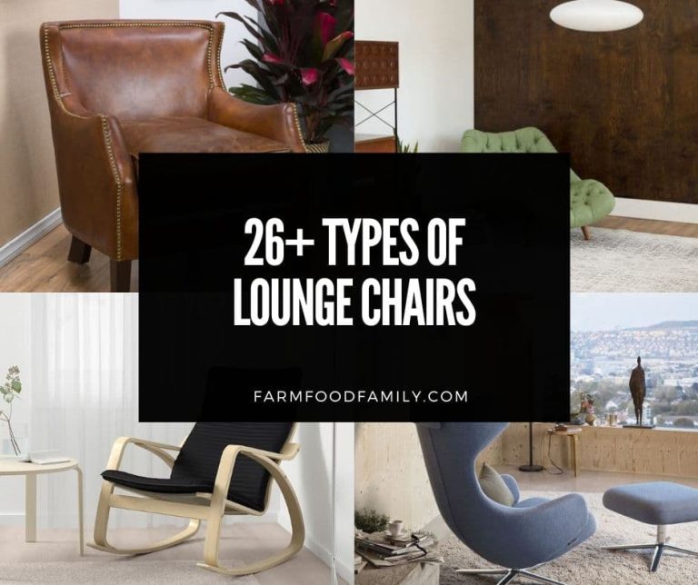 26 Different Types of Lounge Chairs to Kick Back and Relax In