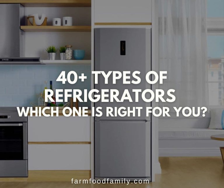40+ Types of Refrigerators (By Door Design, Finish Options, Features)