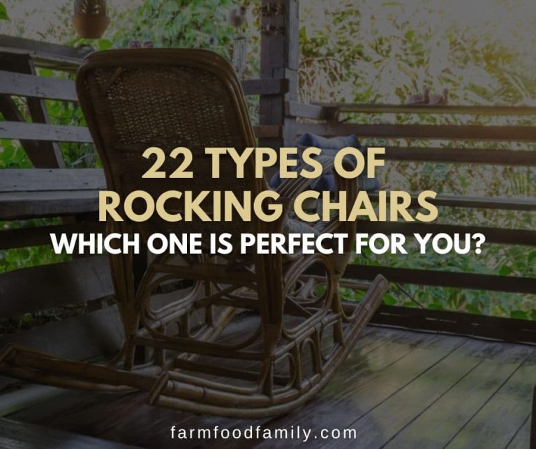 22 Different Types of Rocking Chairs Which One is Perfect for You?