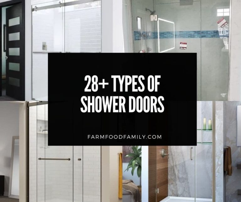 28 Different Types of Shower Doors Which One is Right for You?