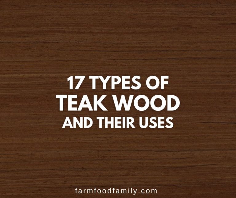 17 Different Types of Teak Wood and Their Uses Pros and Cons