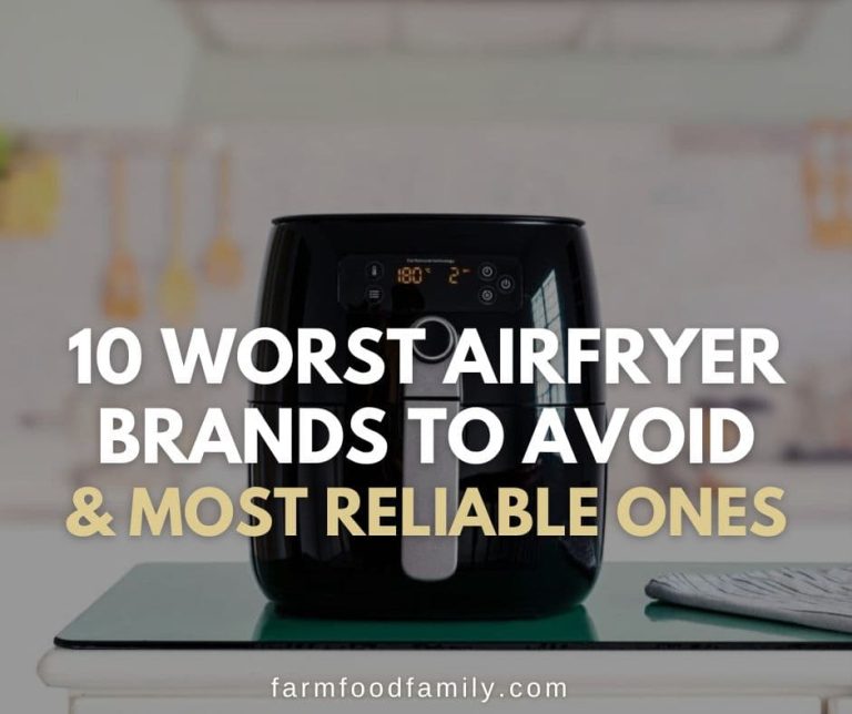 24 Most (and Least) Reliable Air Fryer Brands (Buying Guide) In 2024