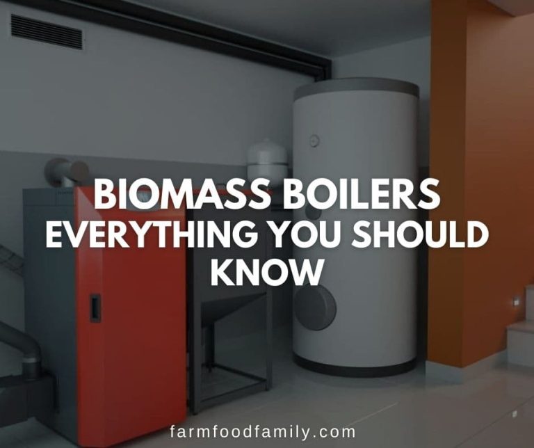 How Does a Biomass Boiler Work? (Cost, Pros and Cons)