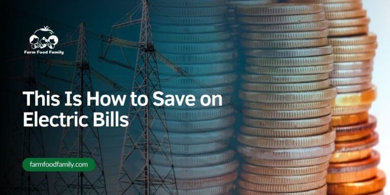 This Is How to Save on Electric Bills