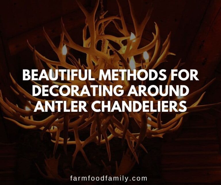A Centerpiece: Beautiful Methods For Decorating Around Antler Chandeliers