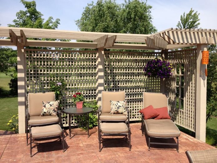Pergola vs Arbor vs Trellis What’s the Difference? FarmFoodFamily