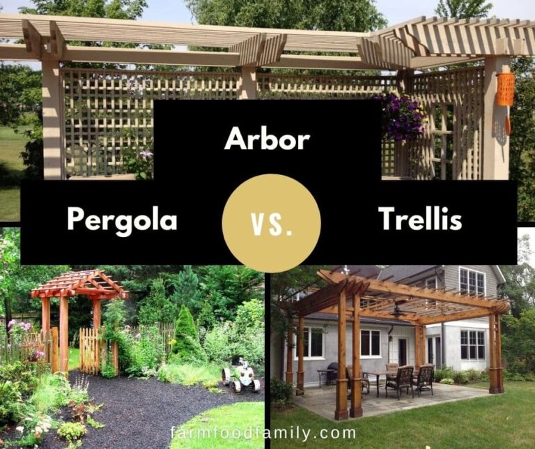 Pergola vs Arbor vs Trellis: What’s the Difference?