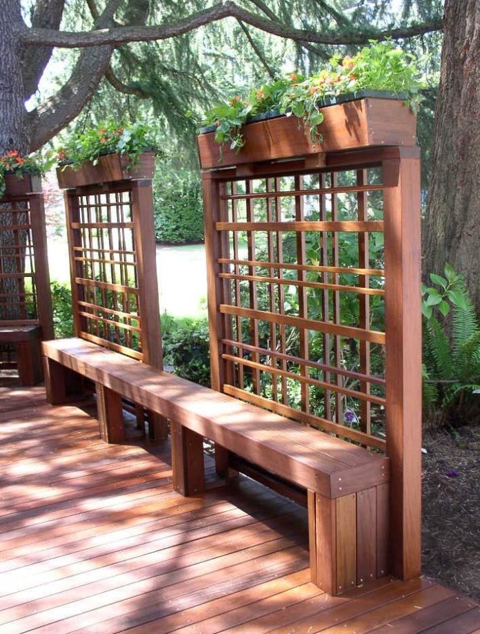 Pergola vs Arbor vs Trellis What’s the Difference? FarmFoodFamily