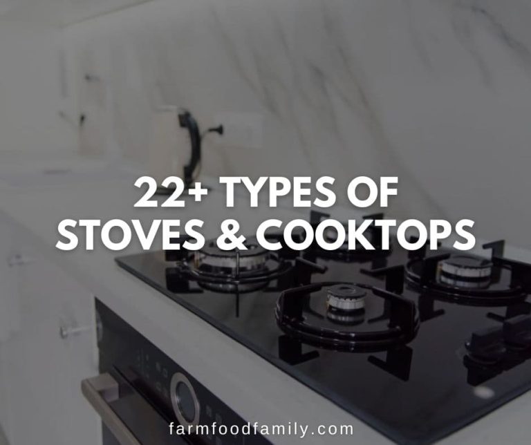 22 Different Types of Stoves and Cooktops Pros and Cons (With Pictures)