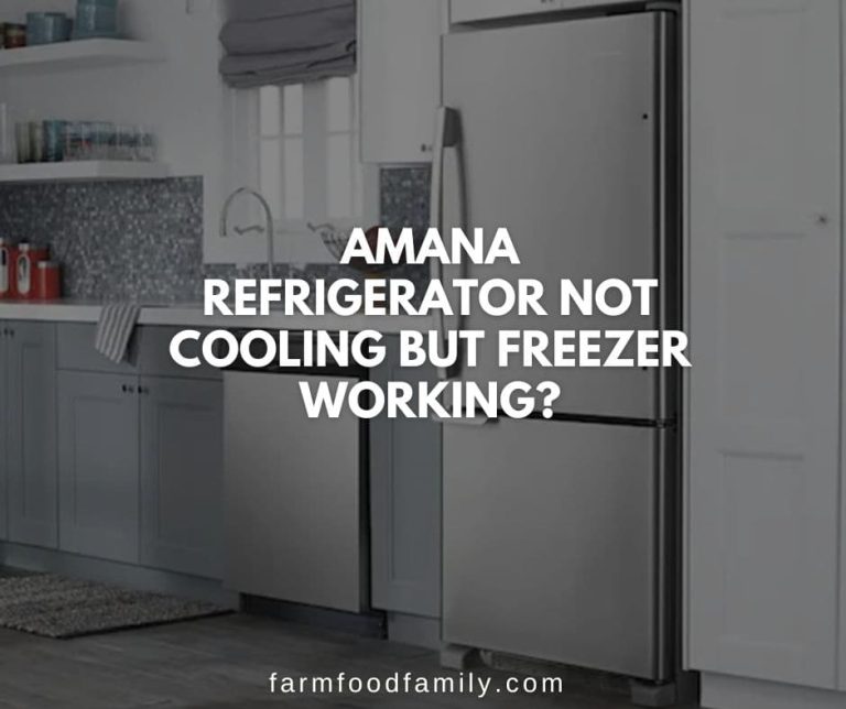 12 Reasons Why Amana Refrigerator Not Cooling {How to Fix}