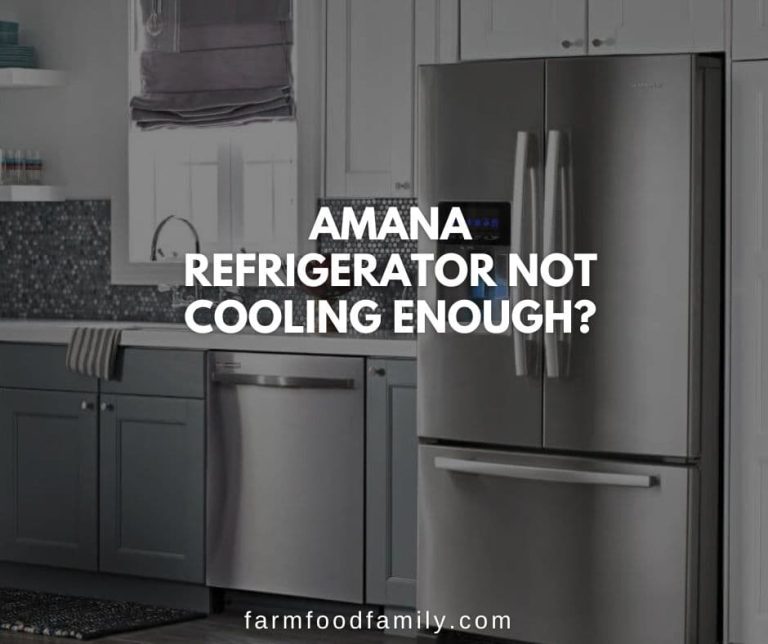 12 Reasons Why Amana Refrigerator Not Cooling {How to Fix}