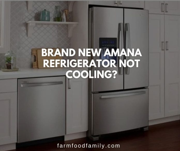 12 Reasons Why Amana Refrigerator Not Cooling {How to Fix}