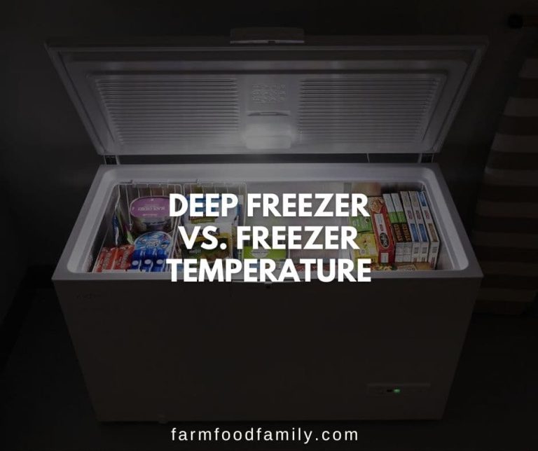 At What Temperature Should A Deep Freezer Be Set?