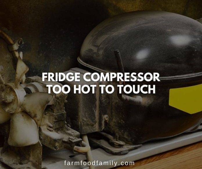 Why Is My Refrigerator Compressor Hot? {How To Fix}