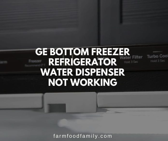 GE Refrigerator Water Dispenser Not Working? {How to Fix}