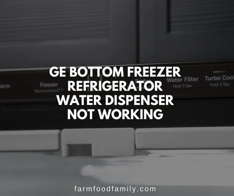 GE Refrigerator Water Dispenser Not Working? {How to Fix}