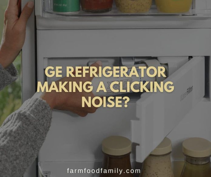 6 Reasons Why GE Refrigerator Making Noises What to Do