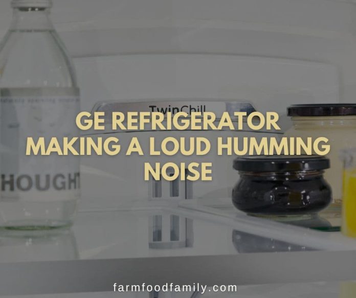 6 Reasons Why GE Refrigerator Making Noises What to Do