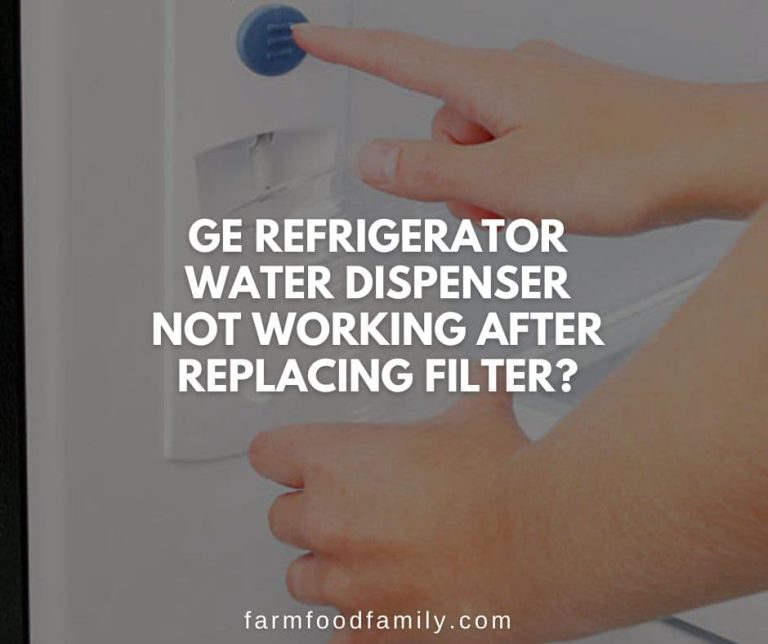 GE Refrigerator Water Dispenser Not Working? {How to Fix}