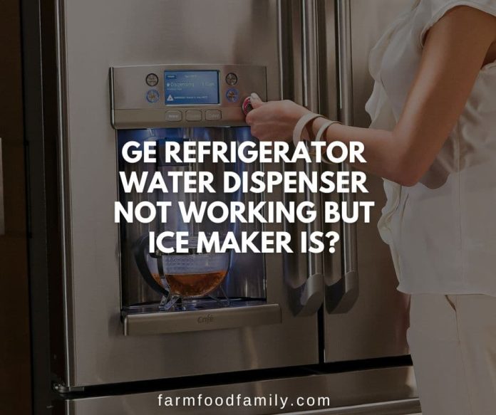GE Refrigerator Water Dispenser Not Working? {How to Fix}