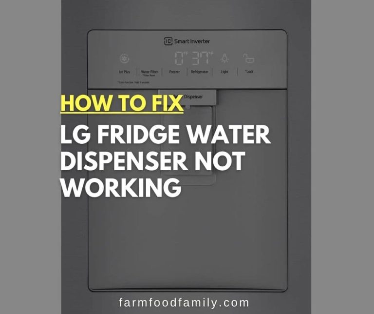 7 Reasons Why LG Fridge Water Dispenser Not Working? {FIXED}