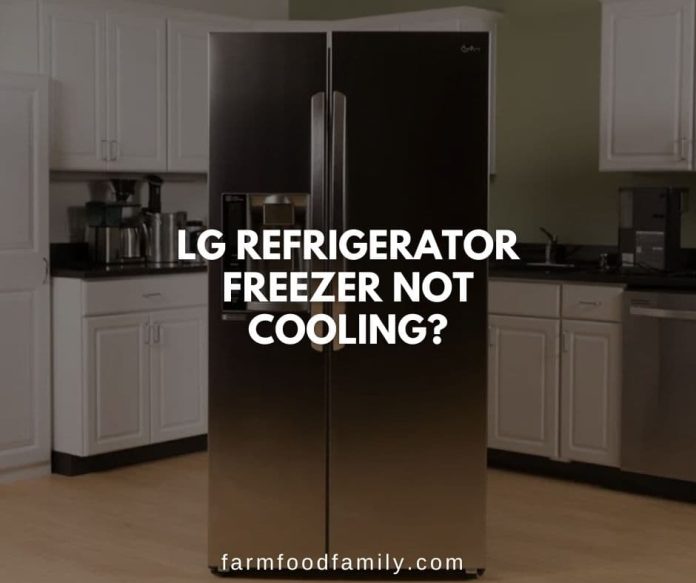 10 Reasons Why LG Freezer Not Freezing/Working {How to Fix}