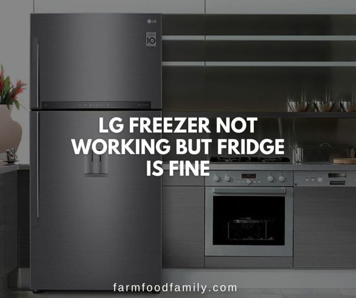 10 Reasons Why LG Freezer Not Freezing/Working {How to Fix}