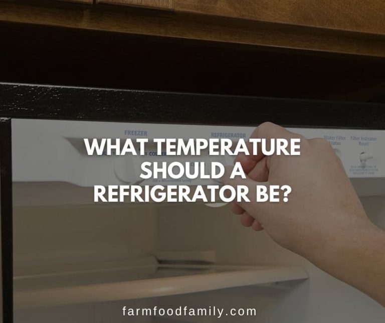 What Temperature Should a Refrigerator Be? {The Ultimate Guide}