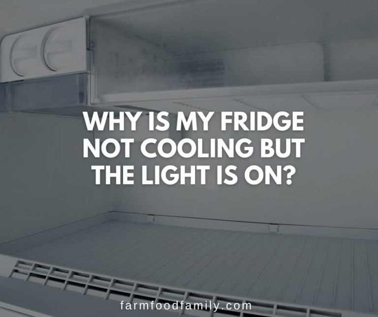 Why Is My Fridge Not Cooling But the Light is On? {How To Fix}
