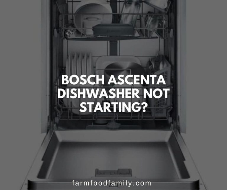 Why My Bosch Dishwasher Won